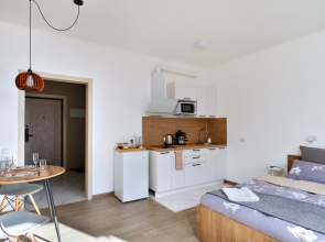 Квартира Студия-Лофт у Зоопарка по Европейским Стандартам