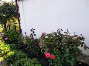 Частный дом Воскресенская дача