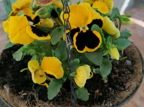 Гостевой дом У Юли