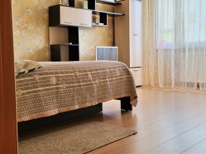 Апартаменты Аскет 66 у парка