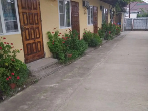Diana Guest house