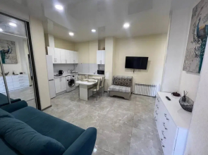 Апартаменты Central Vladivostok Апартаменты с Террасой