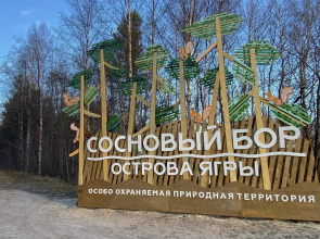 Апартаменты SeveRent в ЖК Нахимов 79