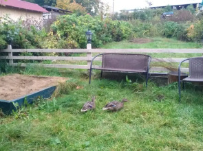 Апартаменты Таунхаус с сауной в центре у набережной