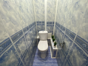 Апартаменты у Химиков