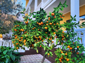 Мини-отель Мэри