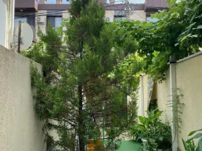 Квартира на Кувшинок 7к1 22