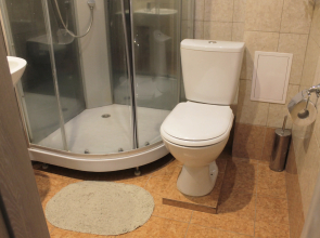 Пансионат Ольшаники