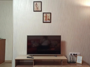 Квартира Красный проспект 59