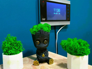 Хостел Moon Sky 24/7