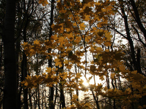 ЭКО Отель Настасьино Хуторок