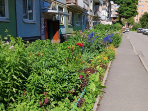 Апартаменты Ветошкина 37