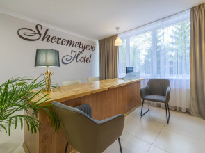 Sheremetyevo Guest house
