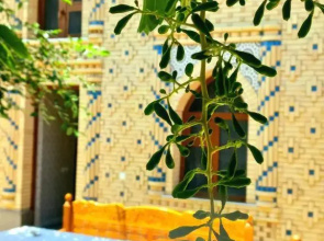 Гостевой дом Colibri Traditional Guest House