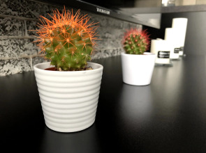 Апартаменты Panorama