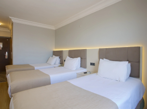 Отель Grand Ant