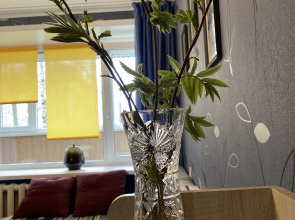 Uyutnaya Na Novgorodskoy Flat