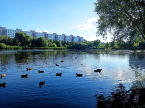 Квартира у озера