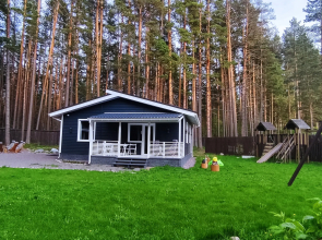 v Skandinavskom Stile Ladoga i Mayak Vuohensalo v Shagovoj Dostupnosti Private House