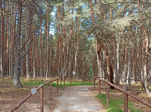 Апартаменты на Гагарина 113