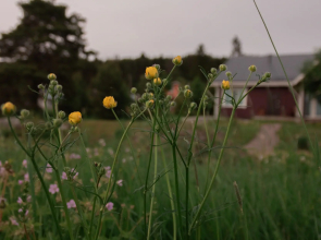 Вилла Ilta Ваара