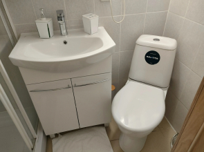 Меблированные комнаты Apart-rooms on Zagorodny
