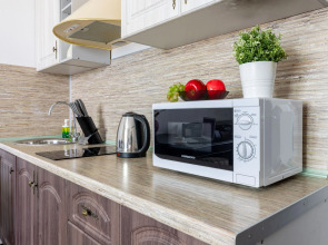 Апартаменты метро Ладожская