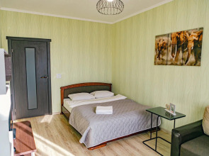 Апартаменты однокомнатные (97) Серебровская 91