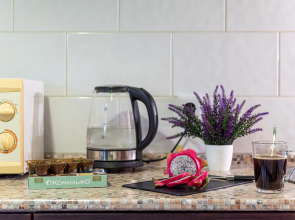 Квартира Райдас на Зеленой 23