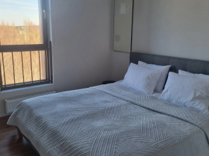 Апартаменты Кристалл 116