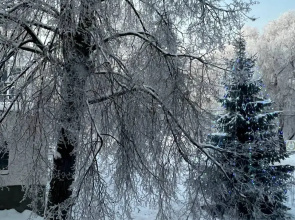 Хостел Любава