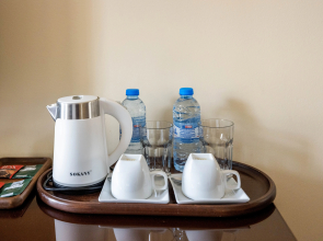 Отель Арарат