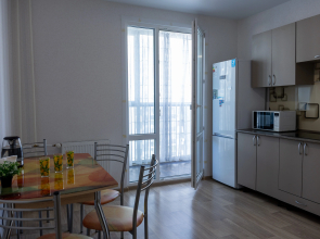 Квартира на Московском проспекте 209