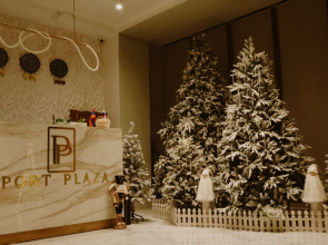 Port Plaza EVN