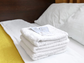 Одноместная мини-студия Авион