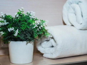 Apartments Malina Park