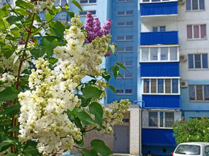 Апартаменты Комфорт и домашний уют 116