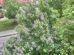 Квартира Отличная Двухкомнатная у ВДНХ