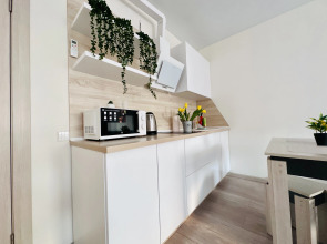 Апартаменты Стильная студия рядом с источниками.