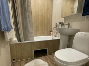 Апартаменты на Большой Технической 8