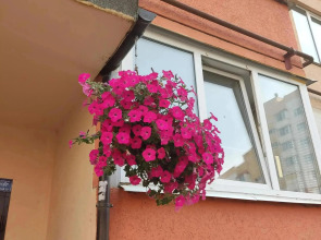 Квартира Современная 2 Комнатная у Вокзала