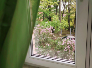 Квартира Светлая Двухкомнатная в Жуковском