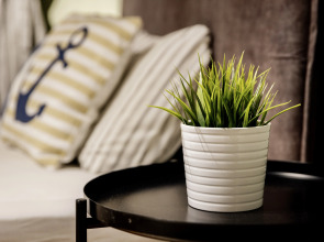 Апартаменты Double Room