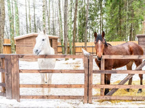 Вятские Дачи 5*