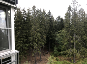 Апартаменты на Софьи Ковалевской 14a