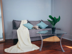 Апартаменты Уютная квартира возле Кёнигсбергского Зоопарка