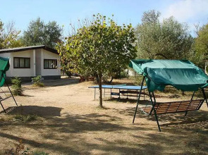 База отдыха Динамо 1