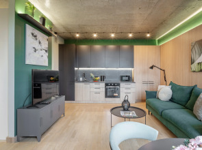 Апартаменты Дизайнерские с видом на парк