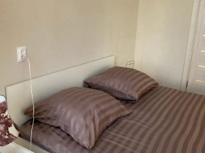 Квартира  на  Ольгинской  набережной  9