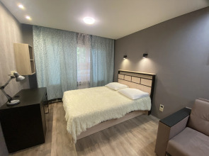 Квартира однокомнатная на Кижеватова 9